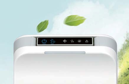 Wellisair-Luftreinigung